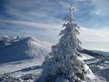 2012-01-07_11-31-37_-rp- IMG_0072